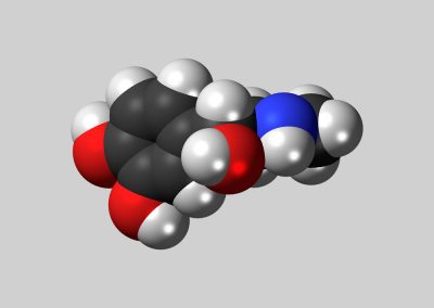 Imagine the Possibilities